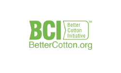 bci